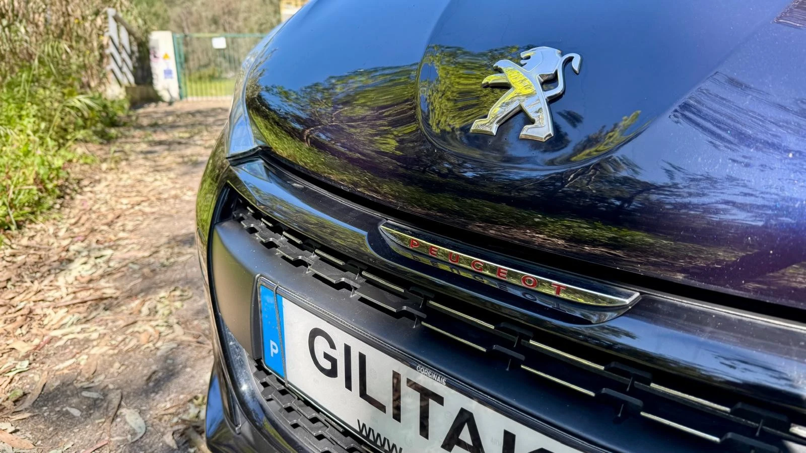 Peugeot 208 1.2 PureTech GT Line