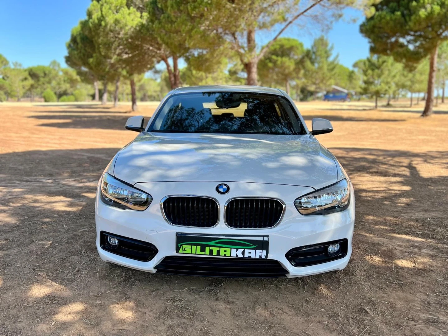 BMW 116 d Line Sport