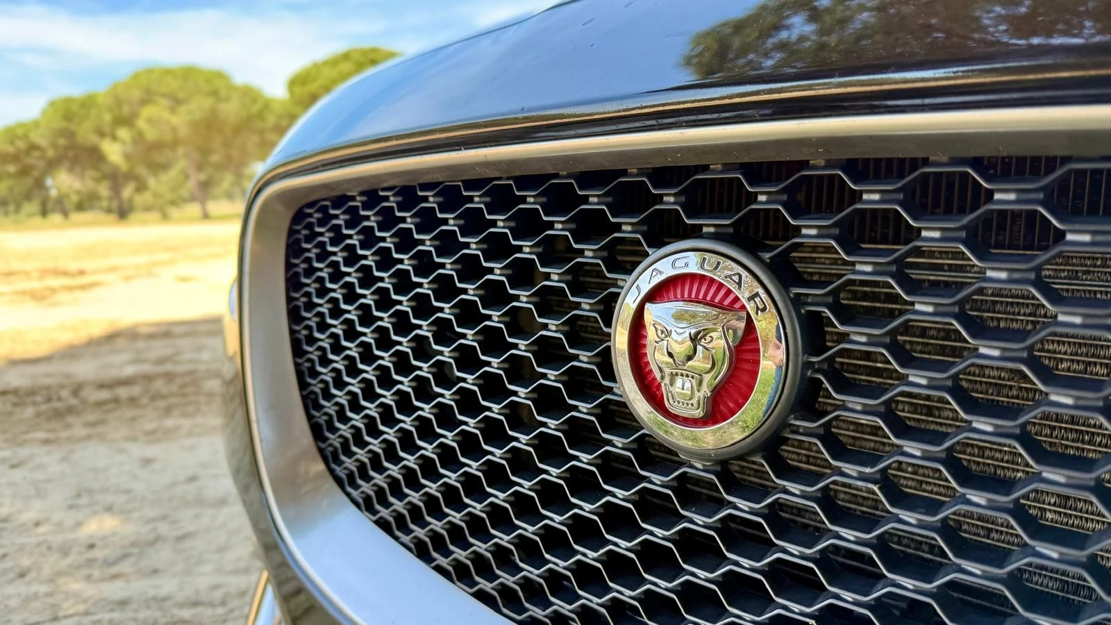 Jaguar F-Pace 25d AWD Aut. R-Sport