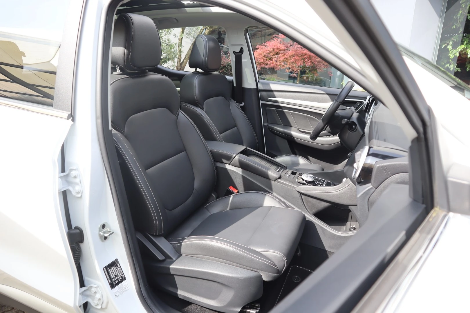 MG ZS EV Luxury