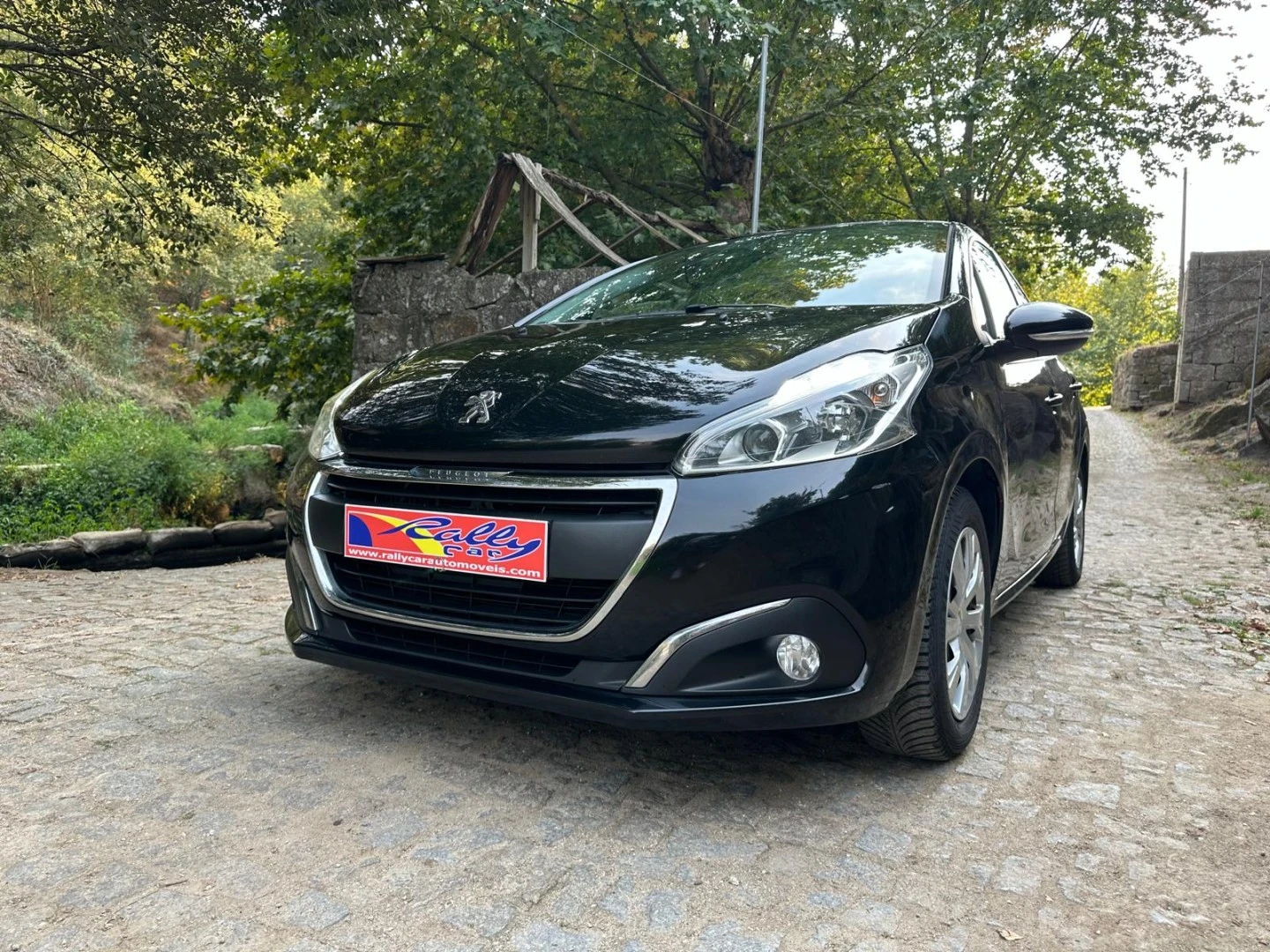 Peugeot 208 E-HDi 92 Stop&amp;Start Active