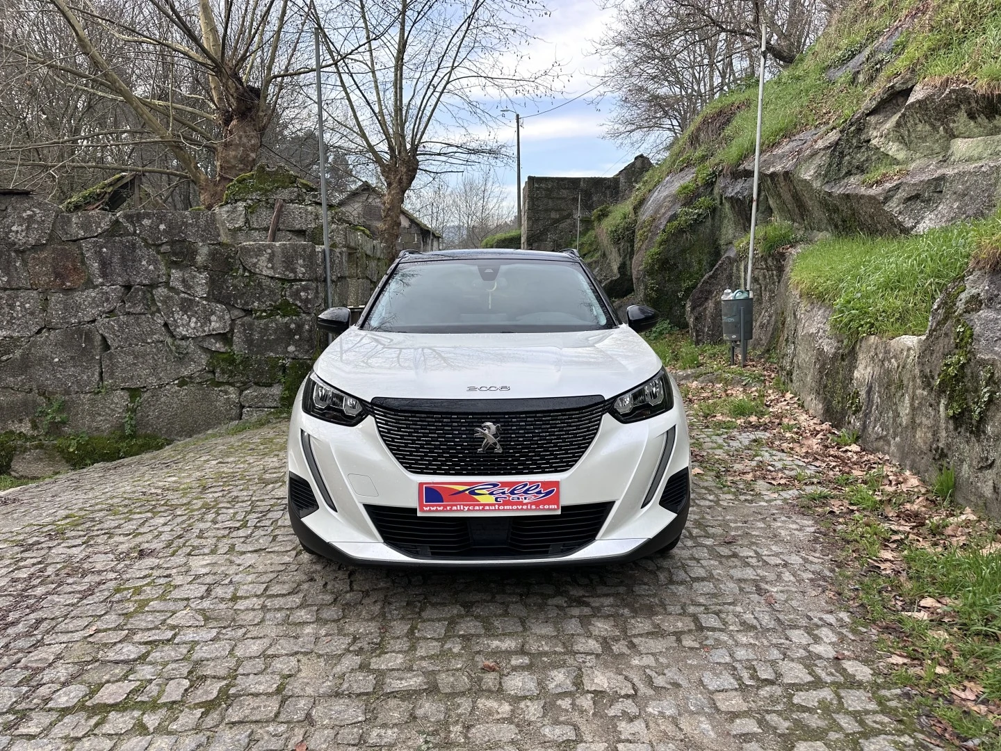 Peugeot 2008 1.5 BlueHDi Allure Pack EAT8