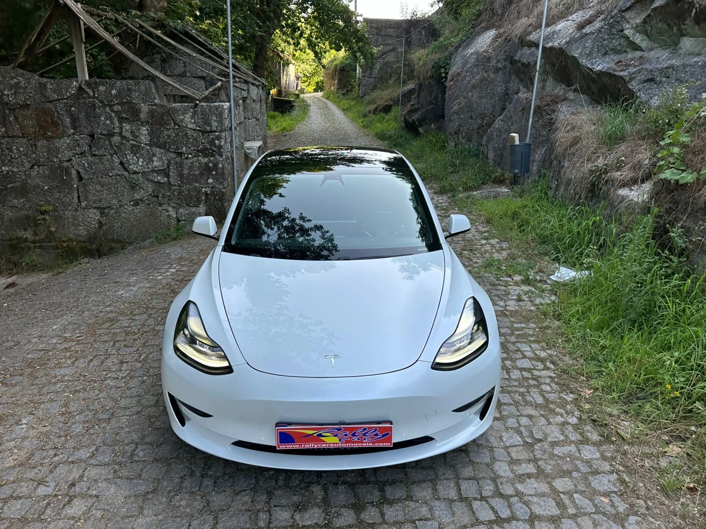 Tesla Model 3 Performance Dual Motor AWD