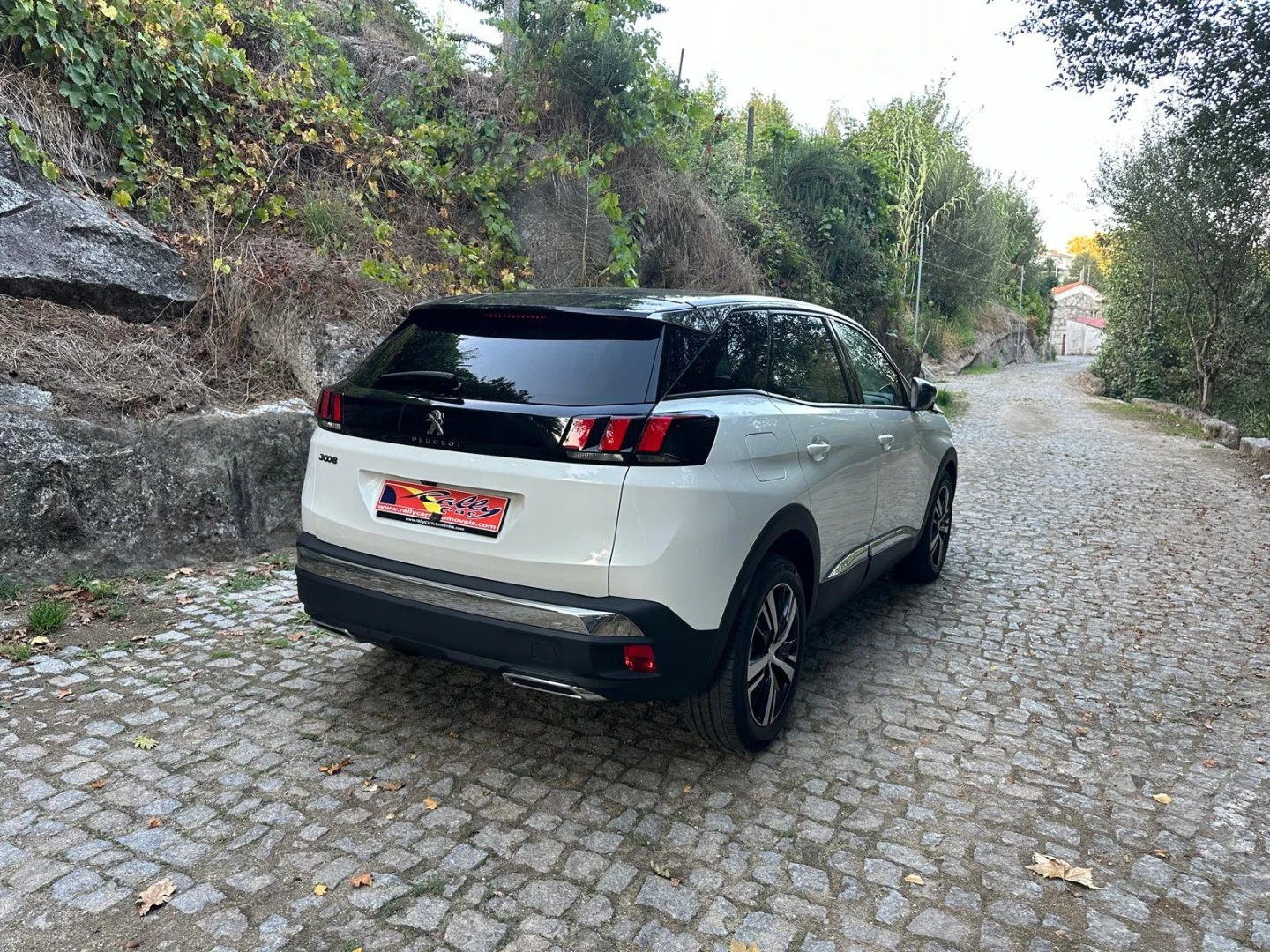Peugeot 3008 1.6 e-HDi Allure 2-Tronic