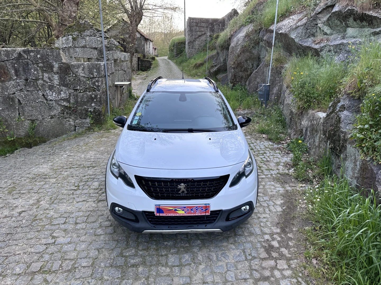 Peugeot 2008 1.6 BlueHDi GT Line
