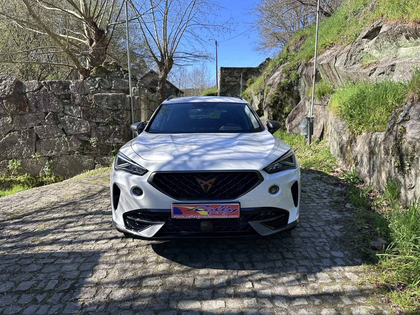Cupra Formentor 1.4 e-Hybrid Plus DSG