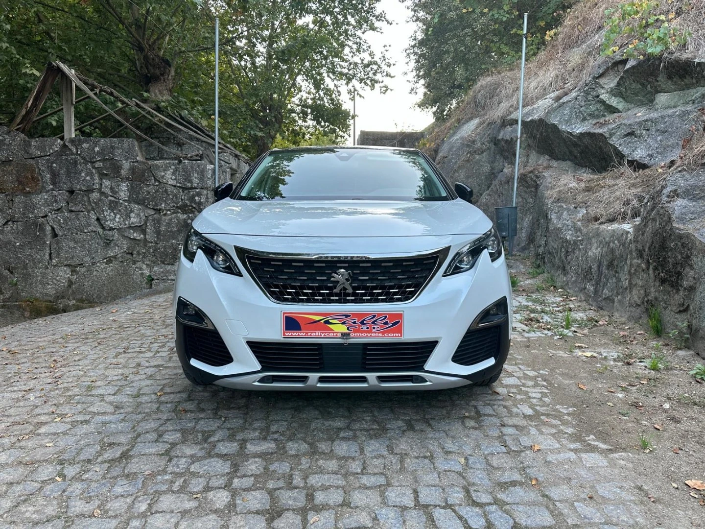 Peugeot 3008 1.6 e-HDi Allure 2-Tronic