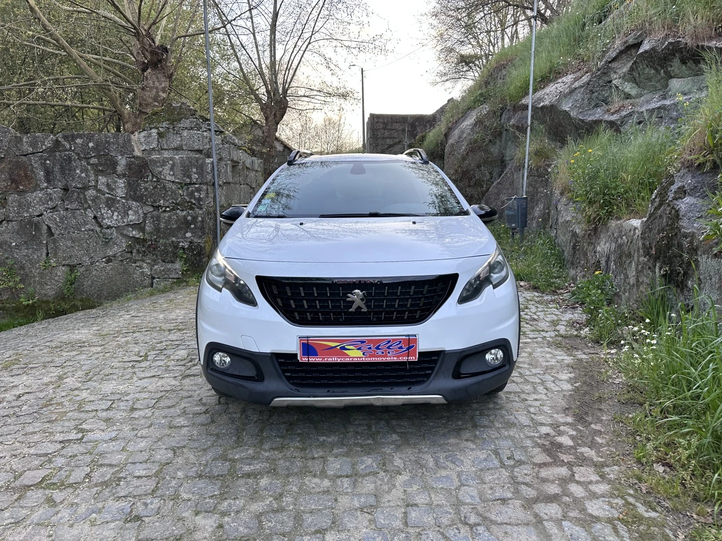 Peugeot 2008 1.6 BlueHDi GT Line