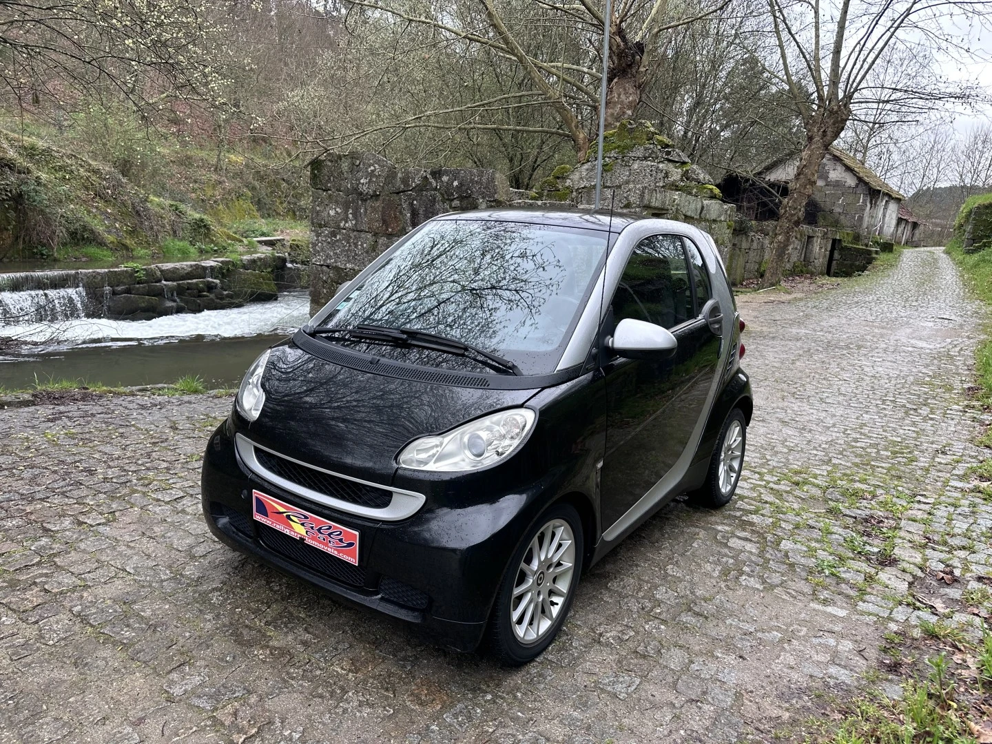 Smart ForTwo Coupé 0.8 cdi Passion 54