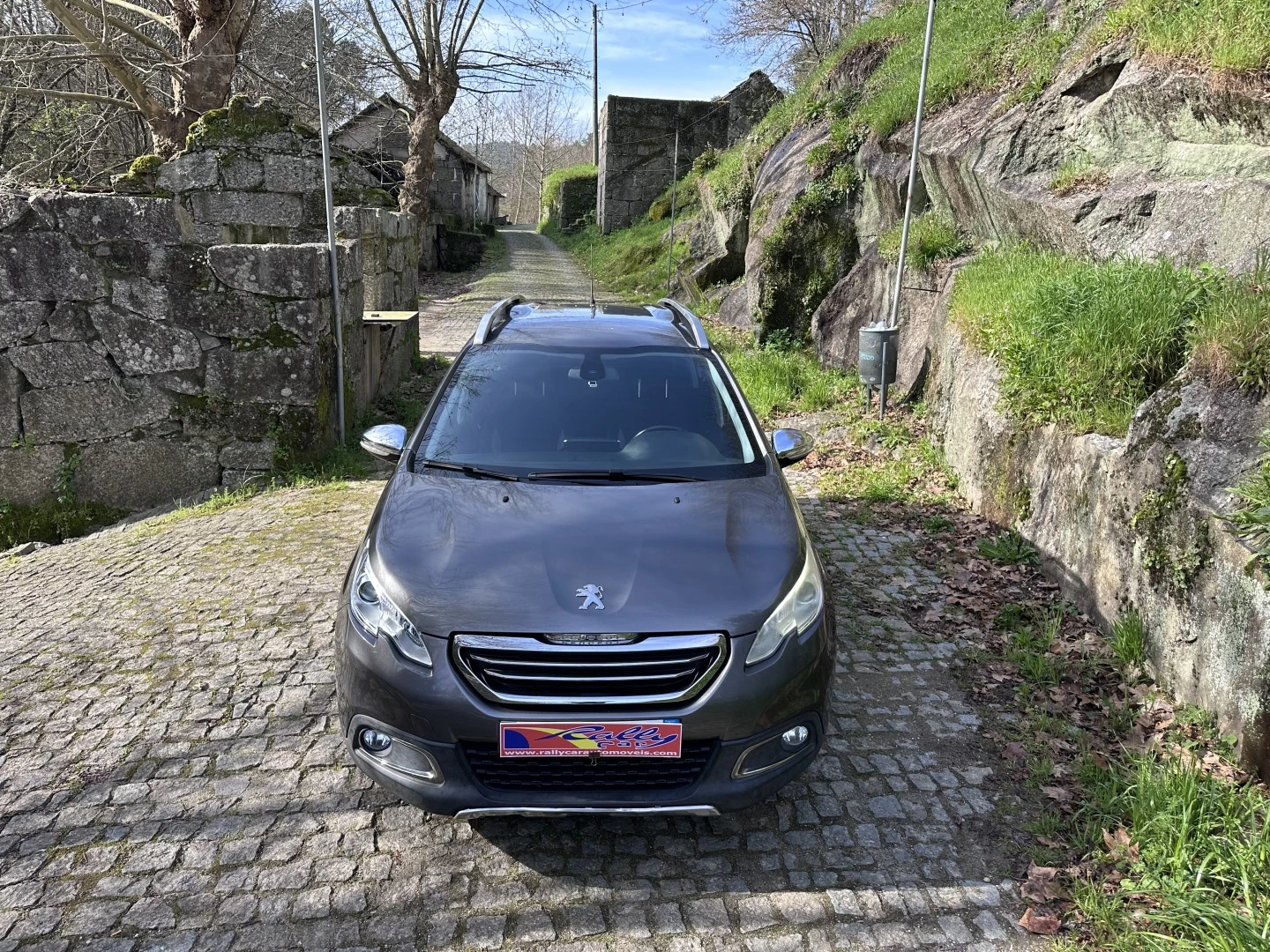Peugeot 2008 PureTech 100 Allure