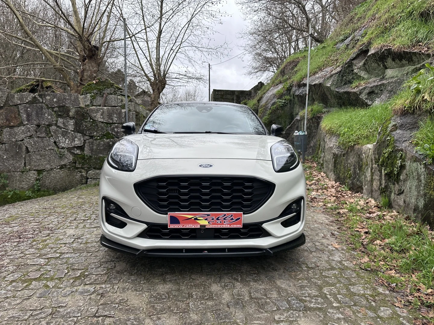 Ford Puma ST LINE X