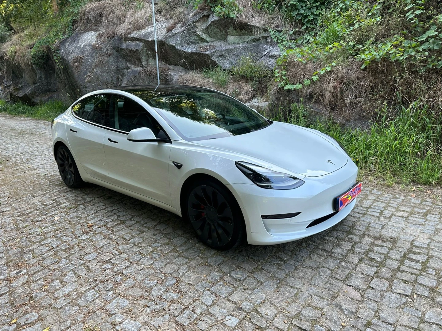 Tesla Model 3 Performance Dual Motor AWD