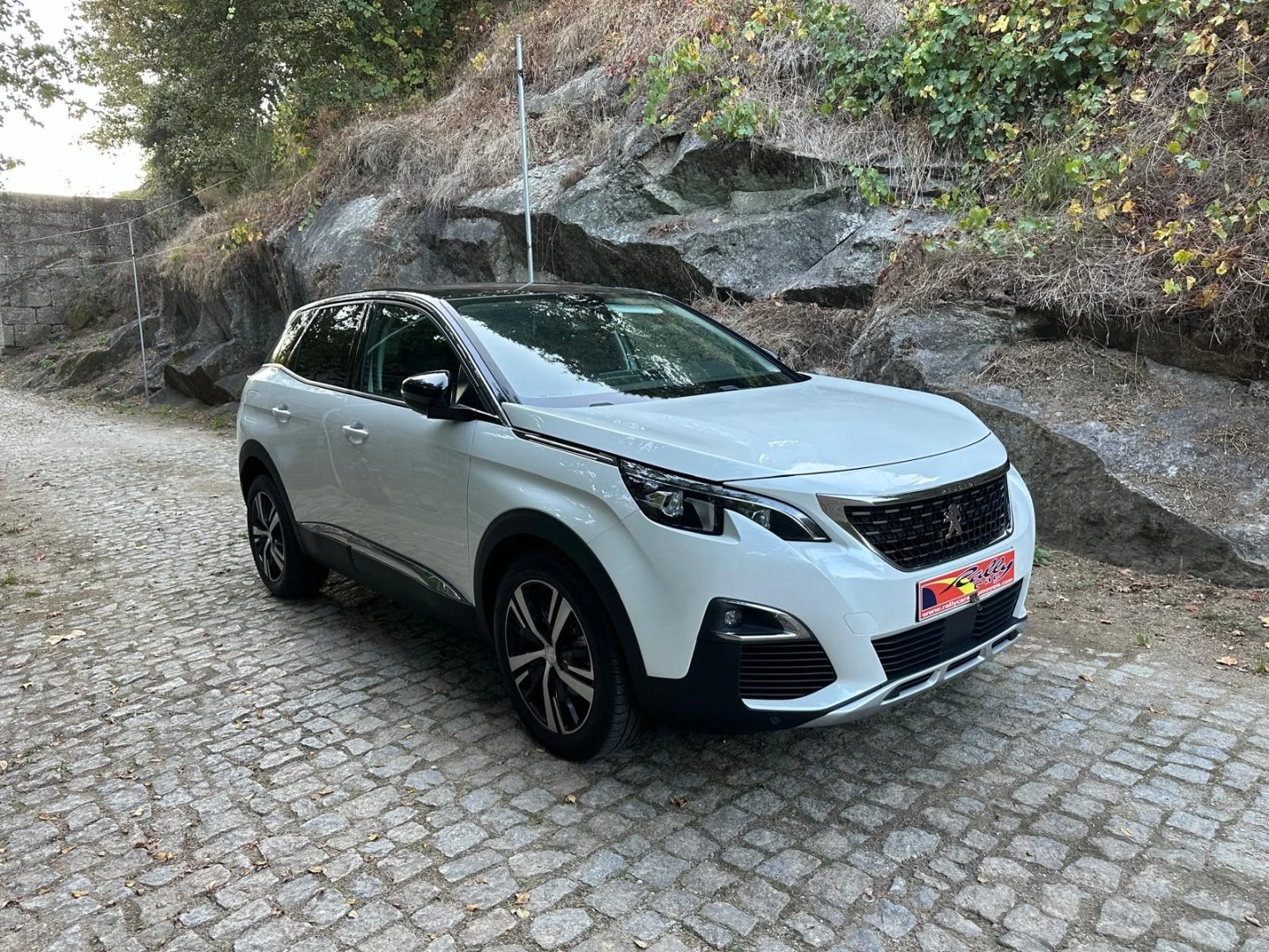 Peugeot 3008 1.6 e-HDi Allure 2-Tronic