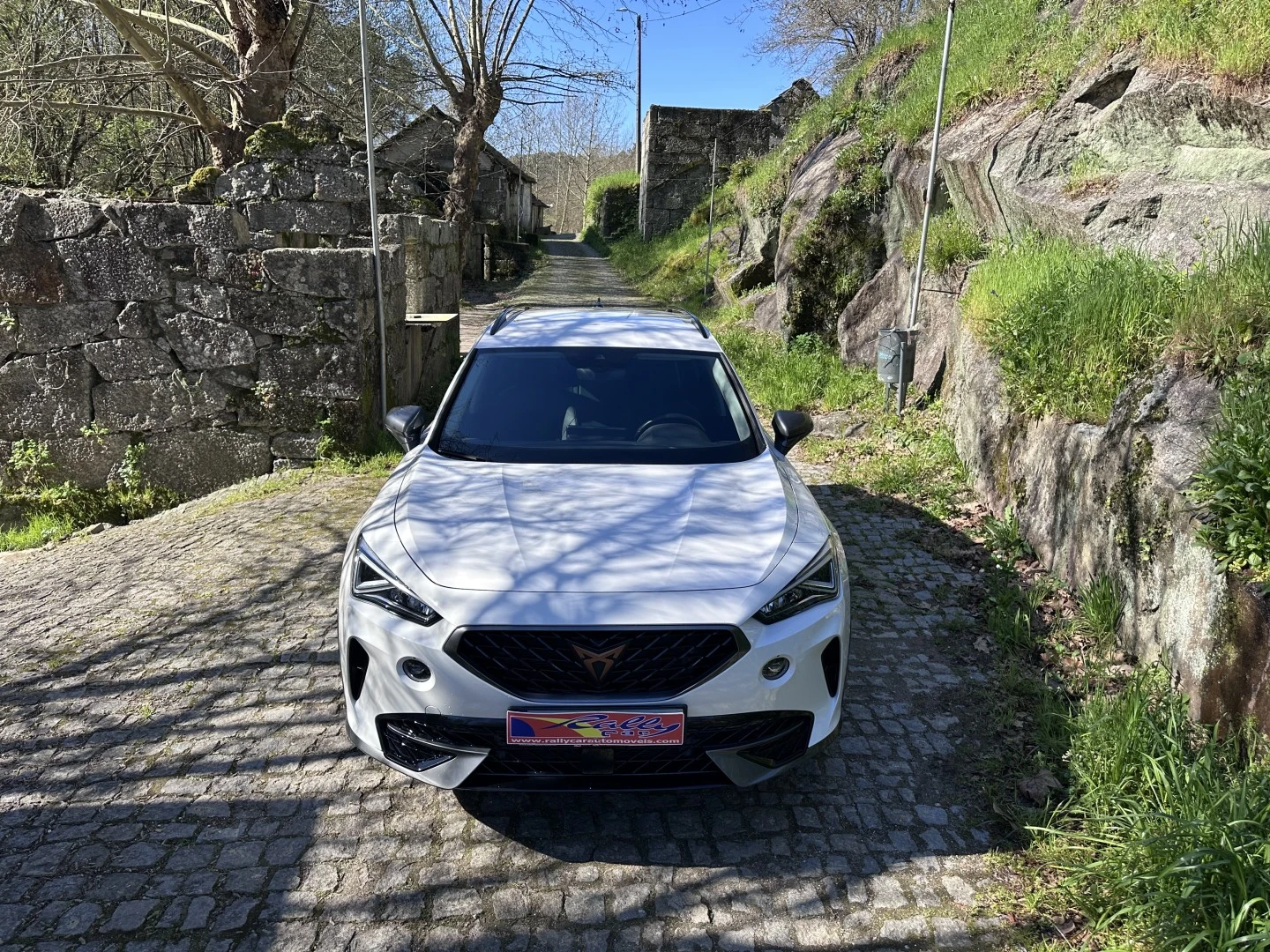 Cupra Formentor 1.4 e-Hybrid Plus DSG