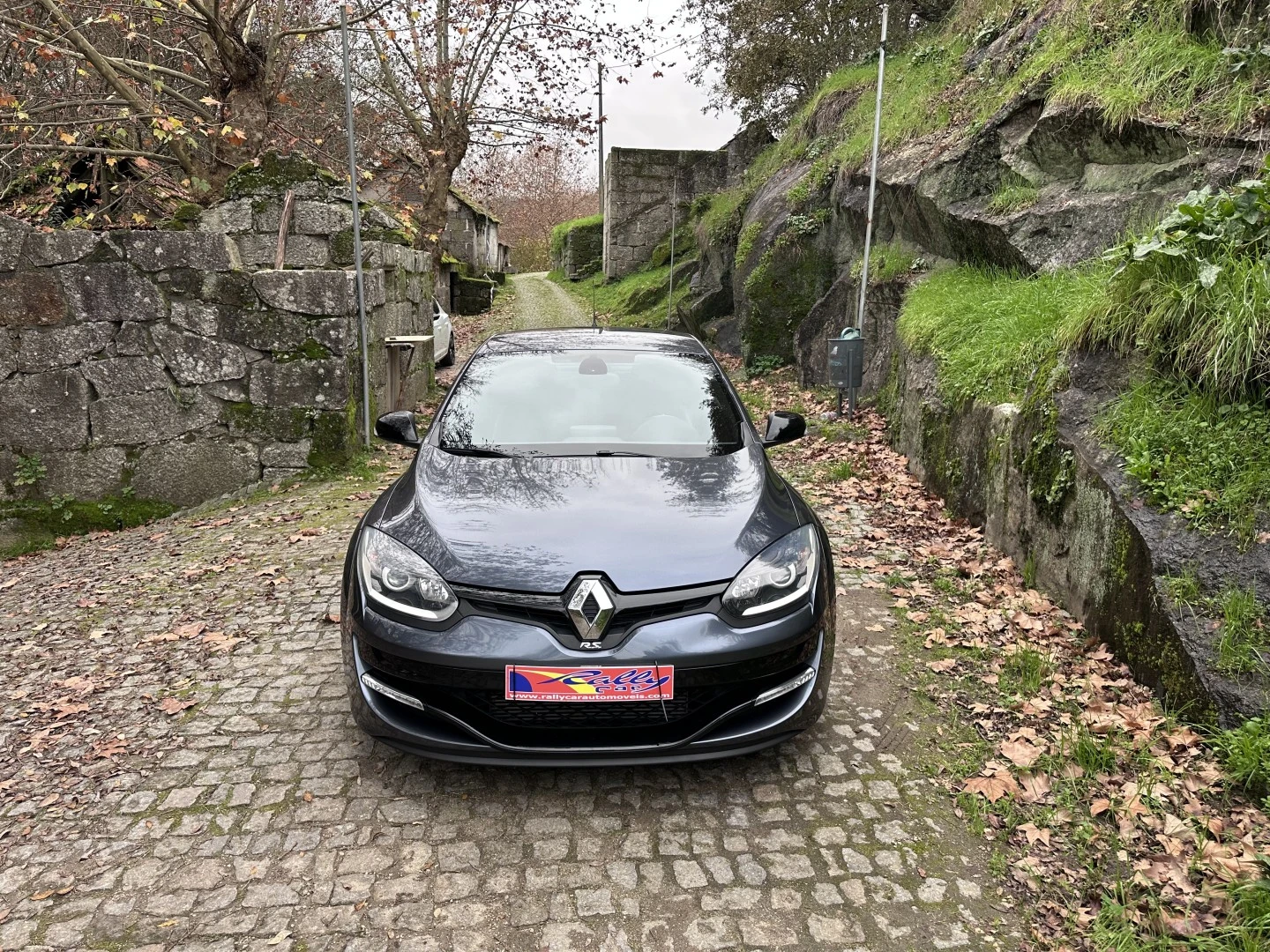Renault Mégane Coupe TCe 265 R.S. Trophy