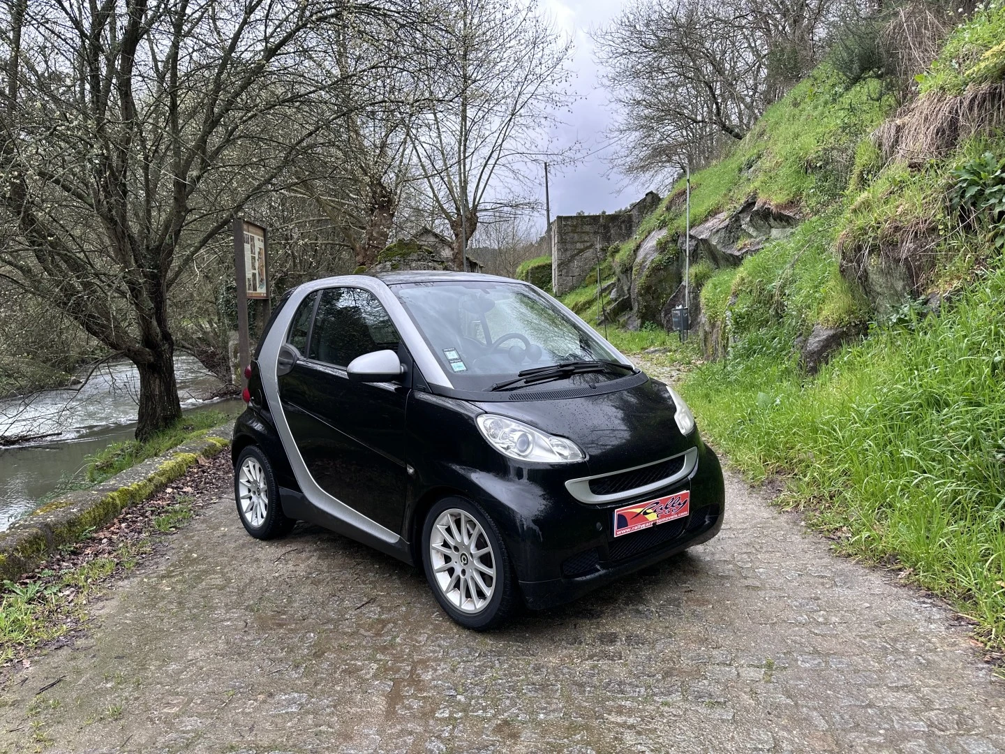 Smart ForTwo Coupé 0.8 cdi Passion 54