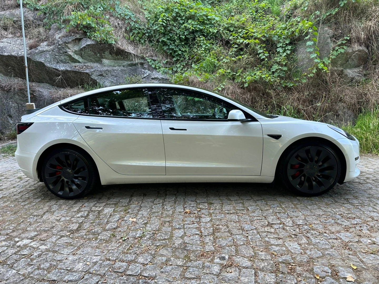 Tesla Model 3 Performance Dual Motor AWD