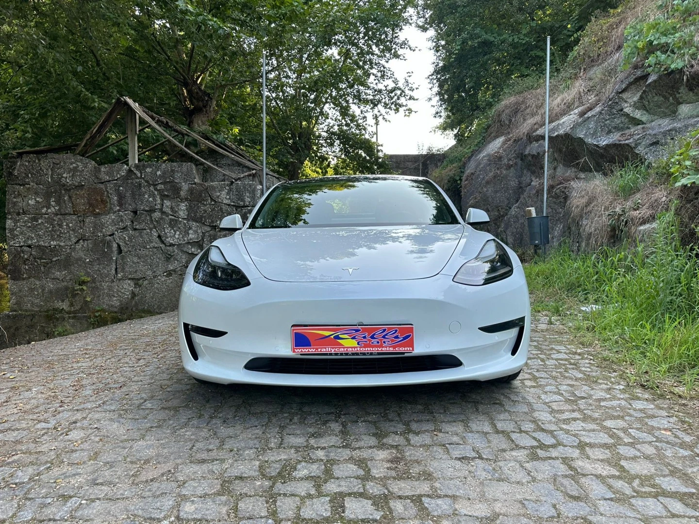 Tesla Model 3 Performance Dual Motor AWD