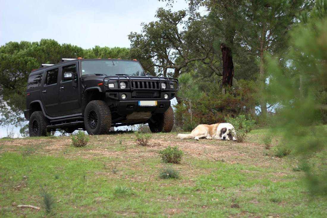 Hummer H2 6.0 Luxury