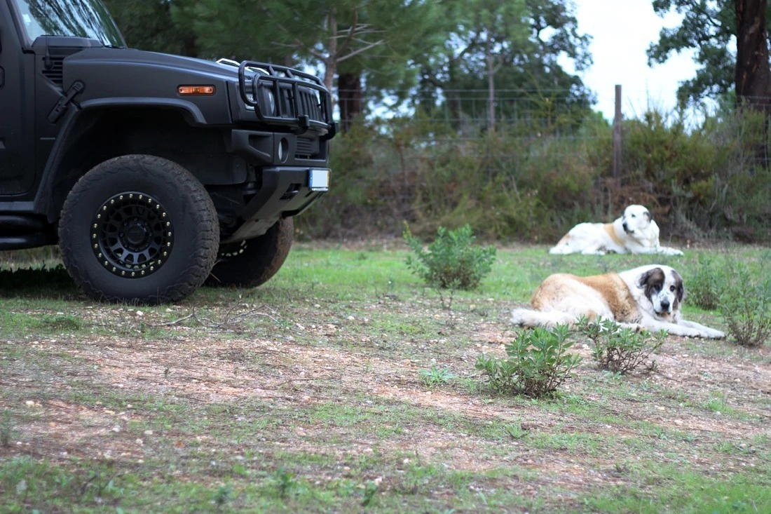 Hummer H2 6.0 Luxury