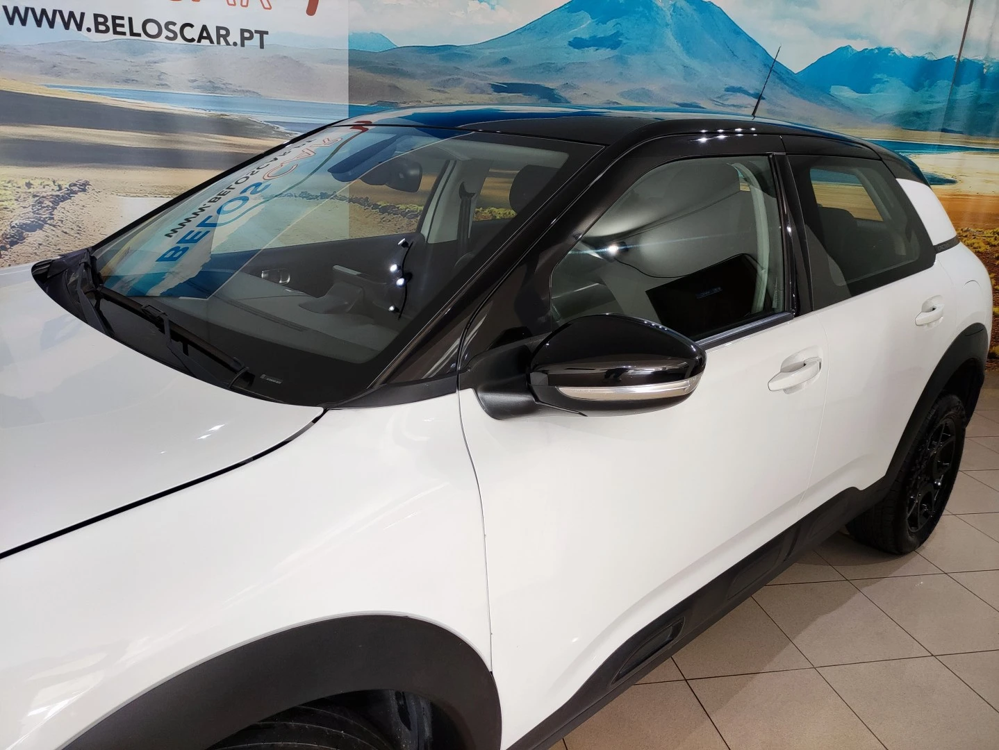 Citroën C4 Cactus 1.5 BlueHDi Feel