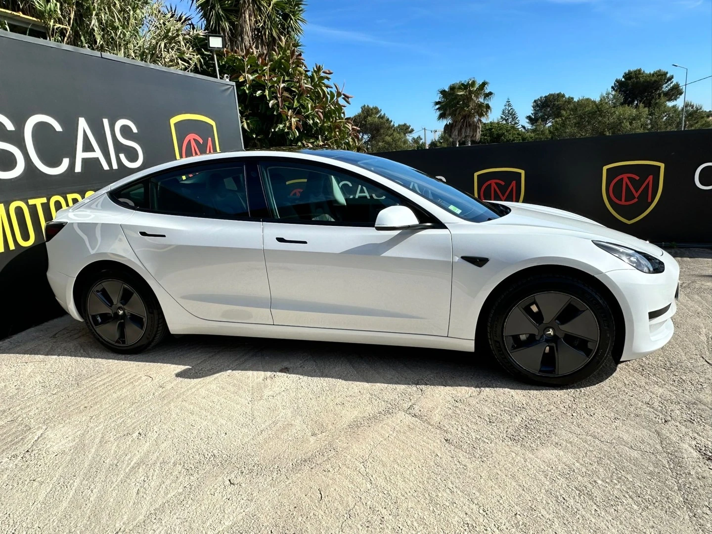 Tesla Model 3 Standard