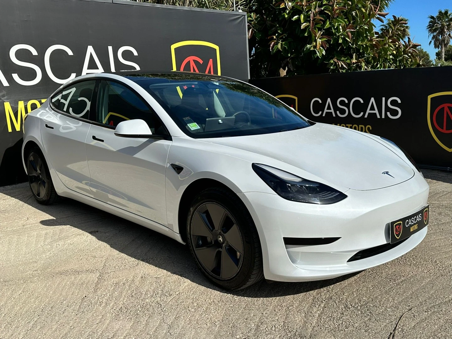 Tesla Model 3 Standard