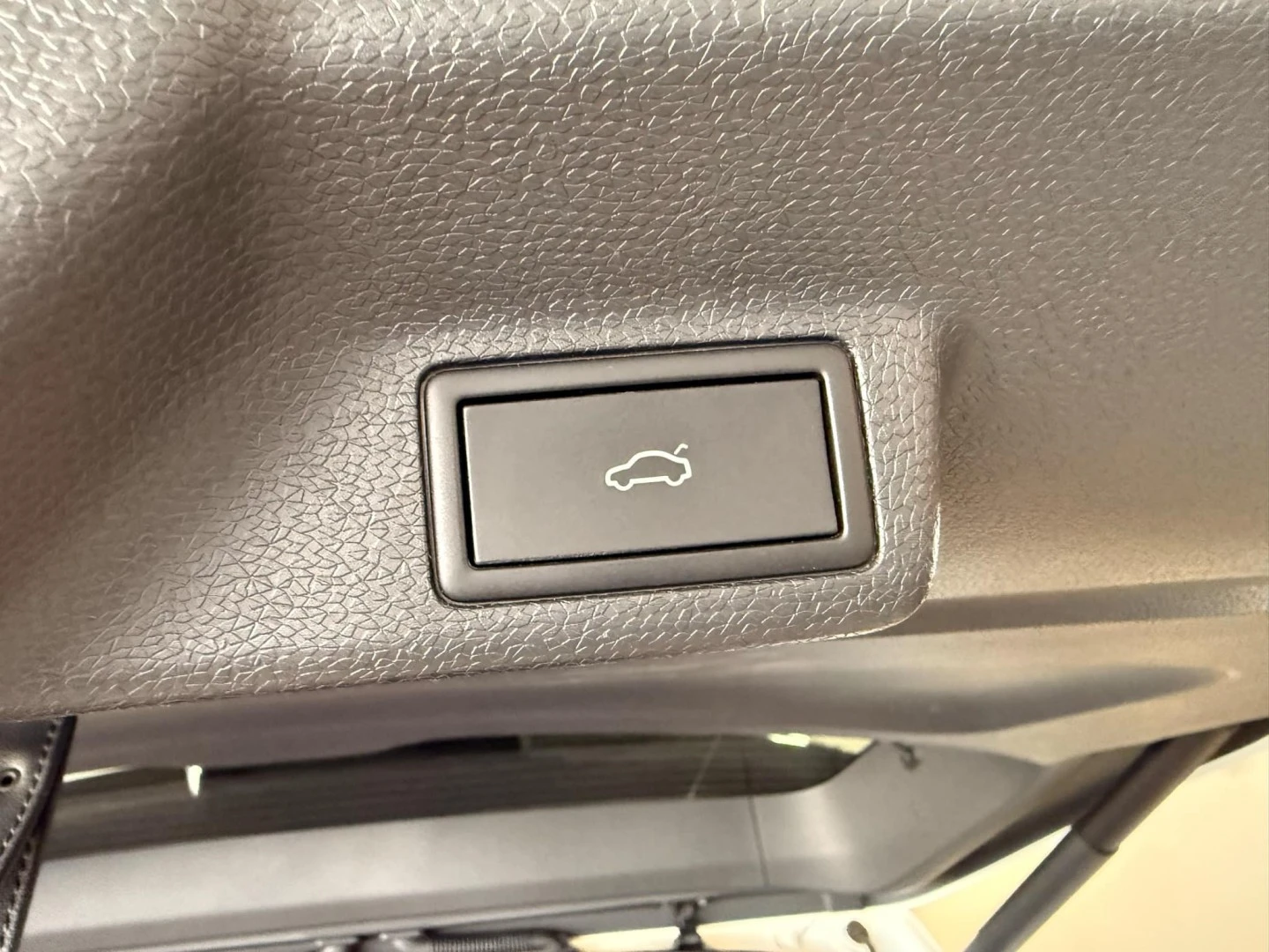VW ID.Buzz Pro