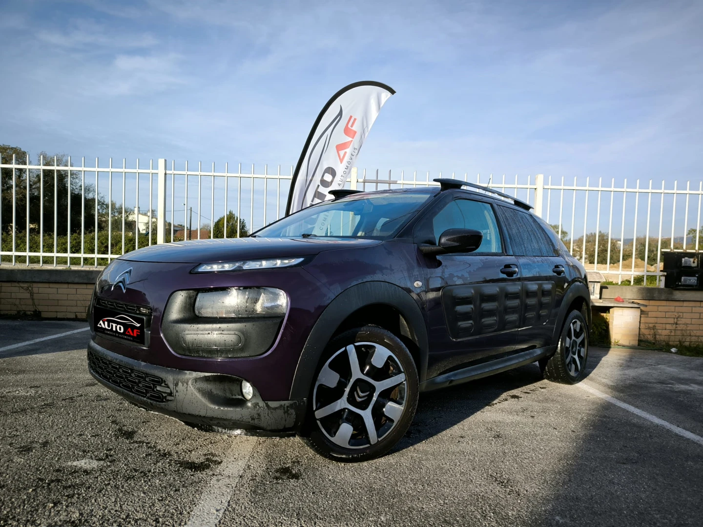Citroën C4 Cactus BlueHDi 100 Stop&amp;Start Shine Edition