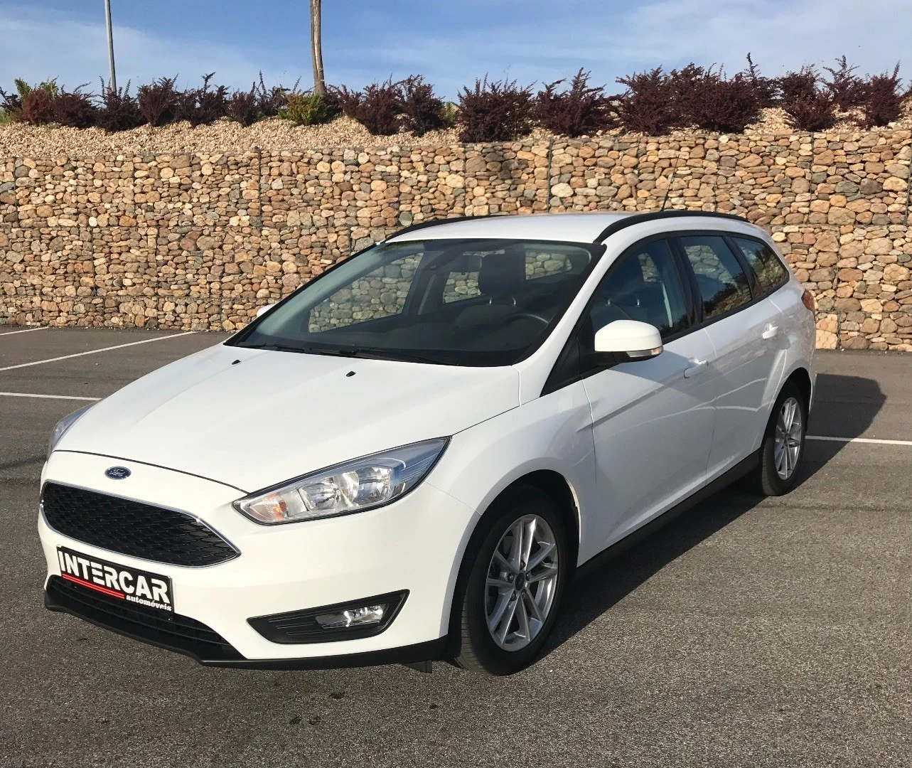 Ford Focus TDCI  - Ano: 2016