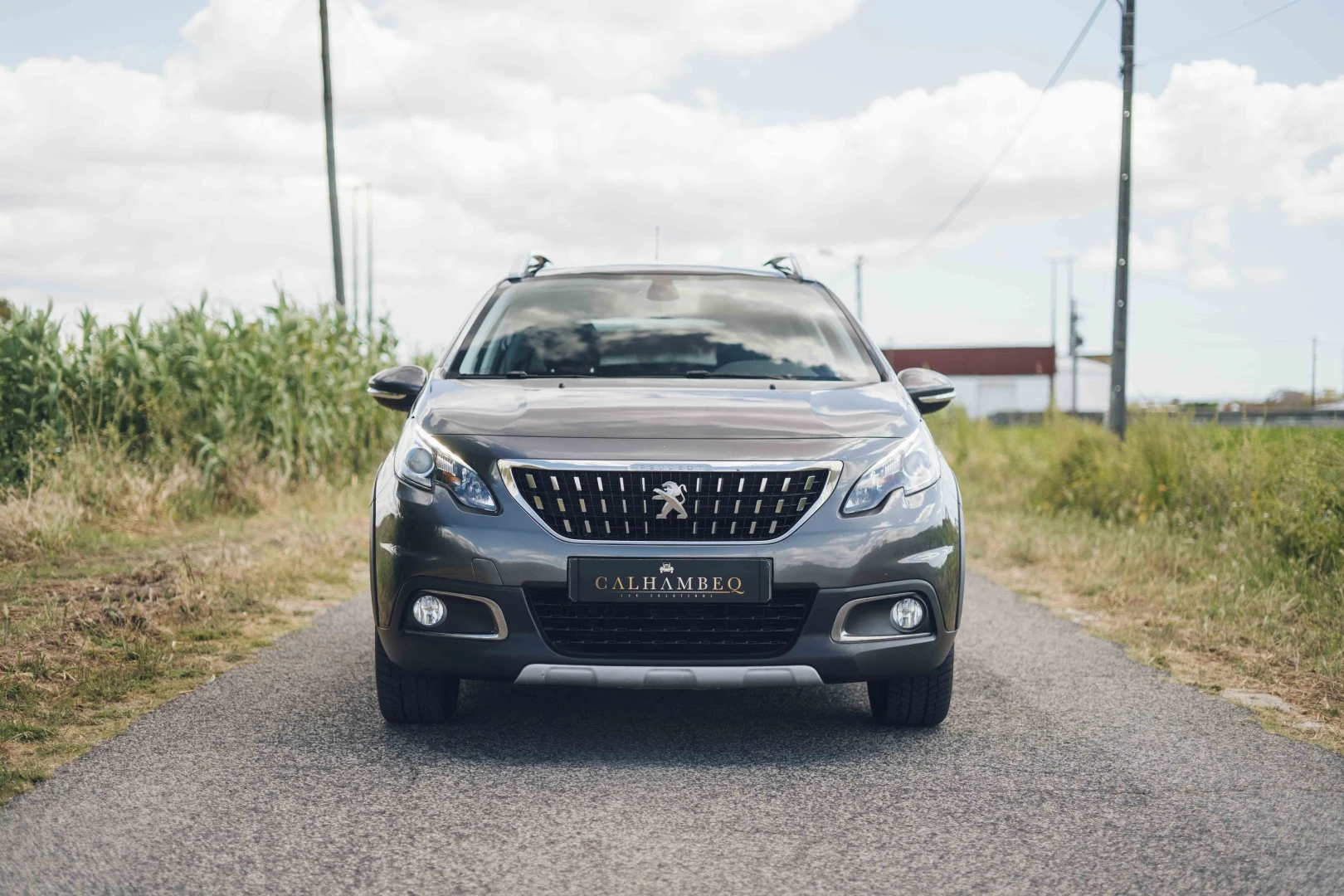 Peugeot 2008 1.5 BlueHDi Active