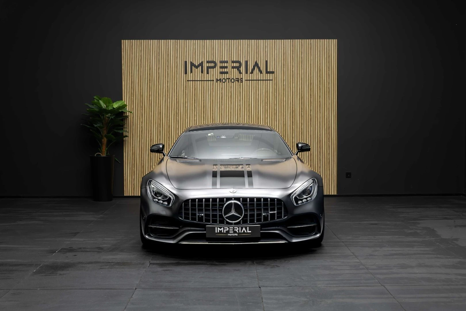 Mercedes-Benz AMG GT C 50 Edition