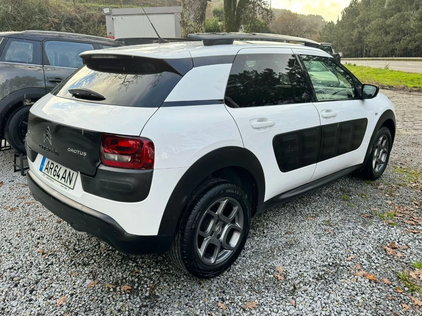 Citroën C4 Cactus c4