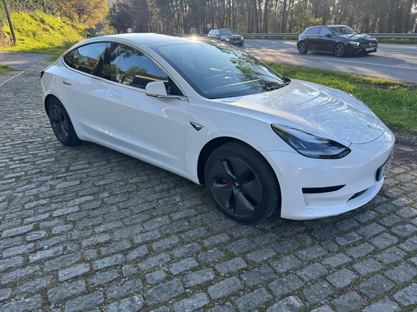 Tesla Model 3 Standard Range Plus RWD