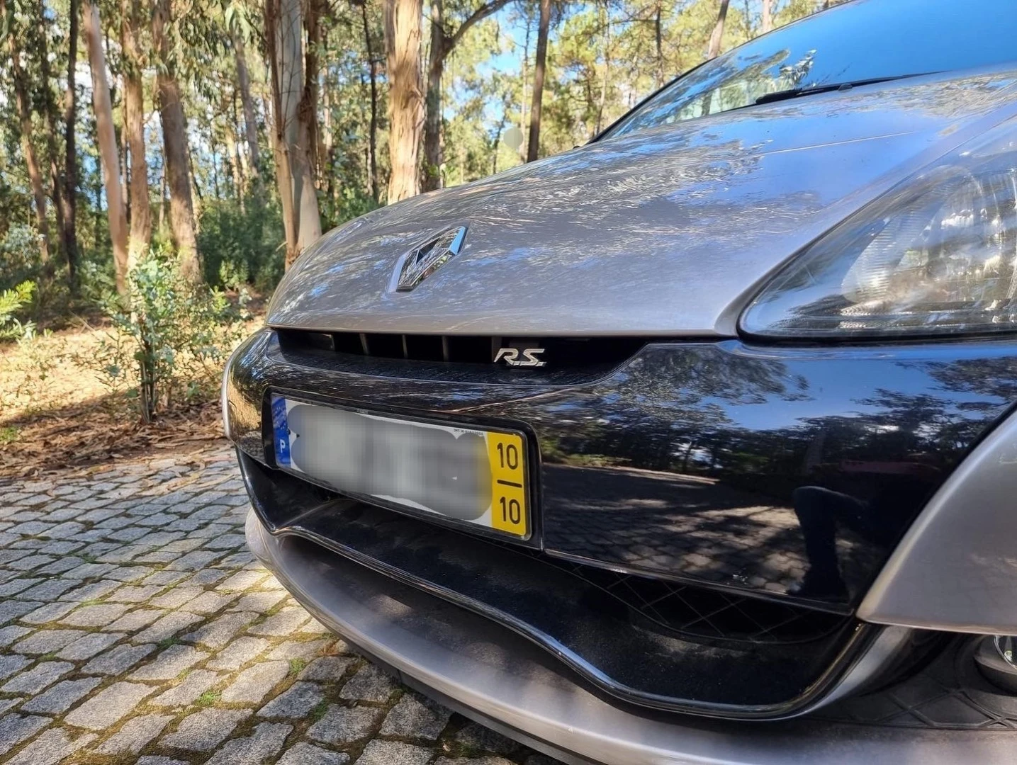 Renault Clio 2.0 16V 200 Sport