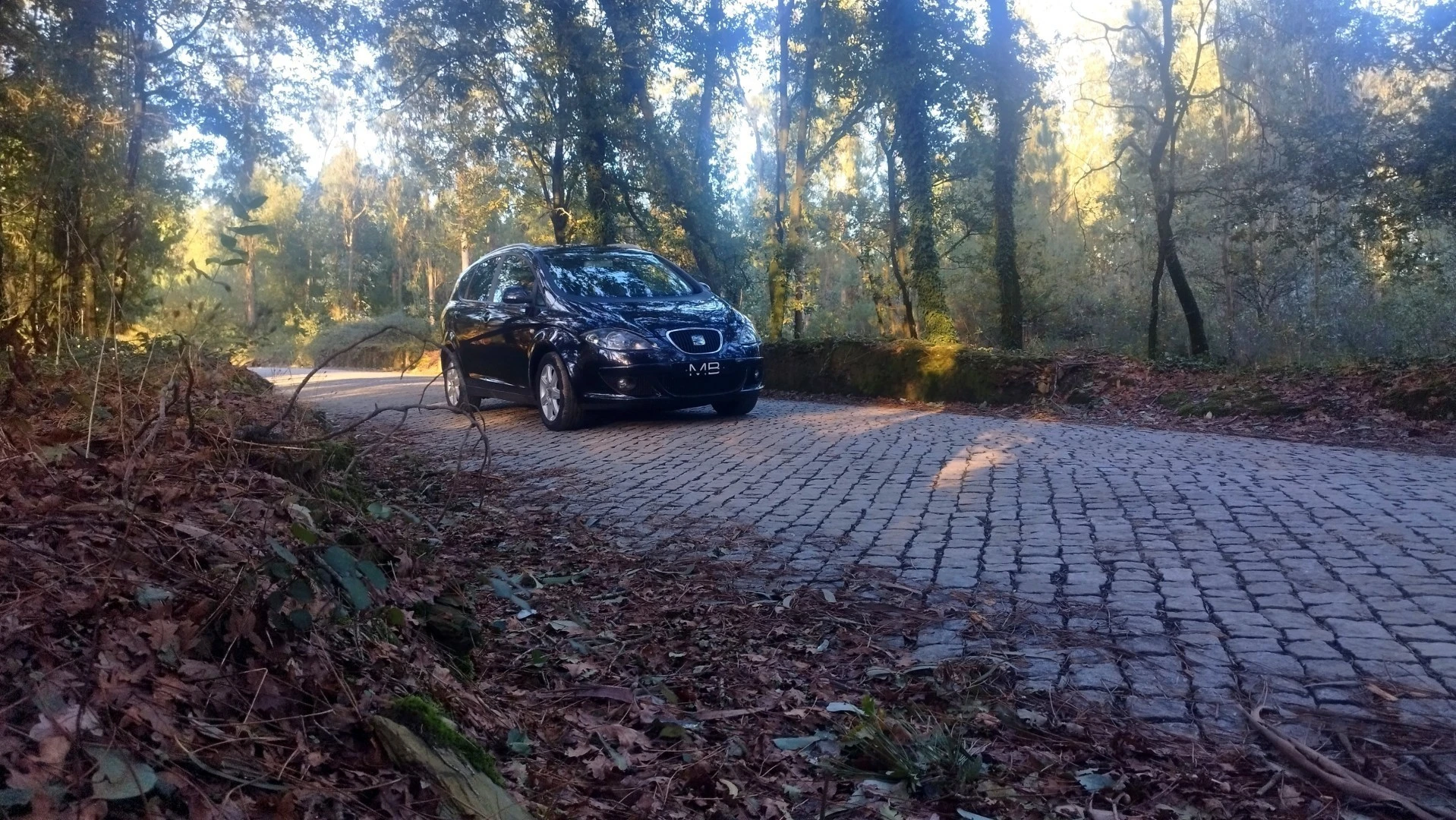 SEAT Altea 1.9 TDi Drivers Edition