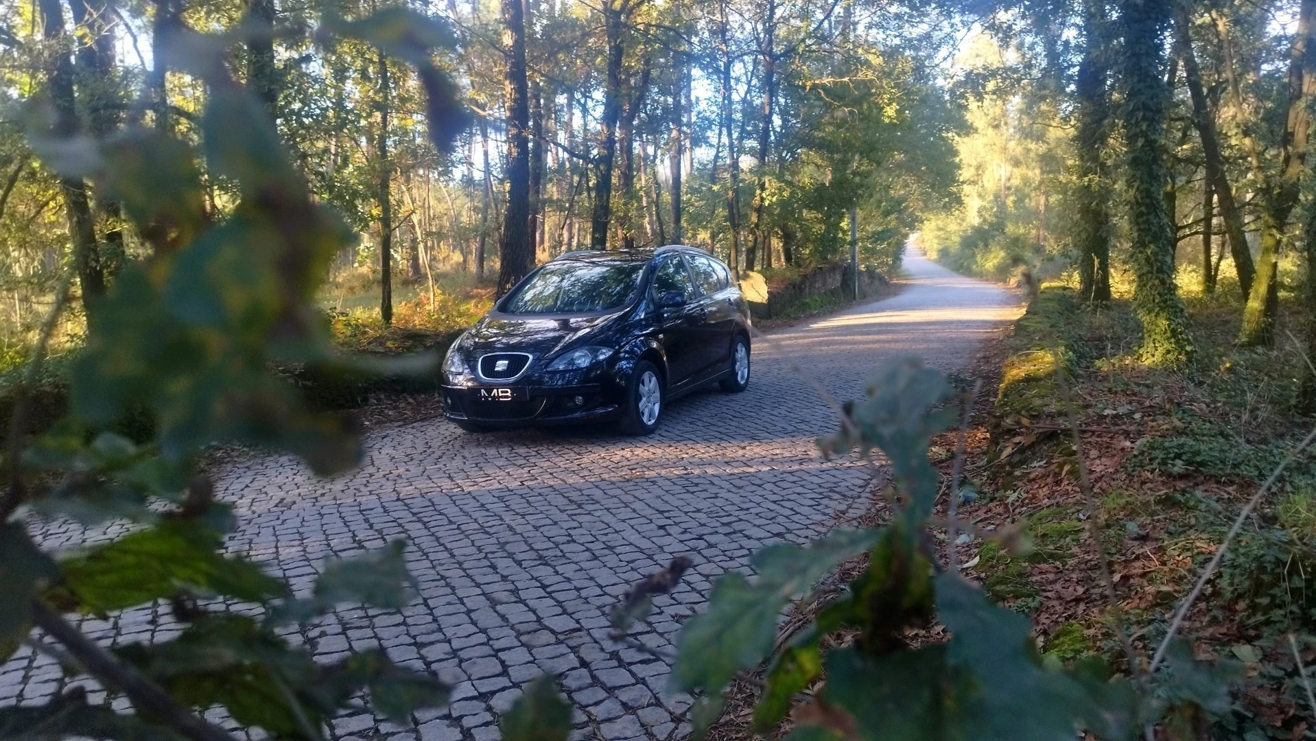 SEAT Altea 1.9 TDi Drivers Edition