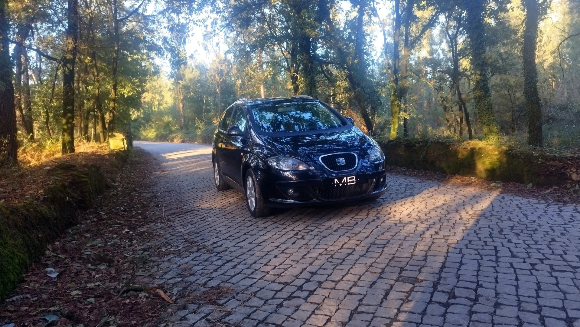 SEAT Altea 1.9 TDi Drivers Edition