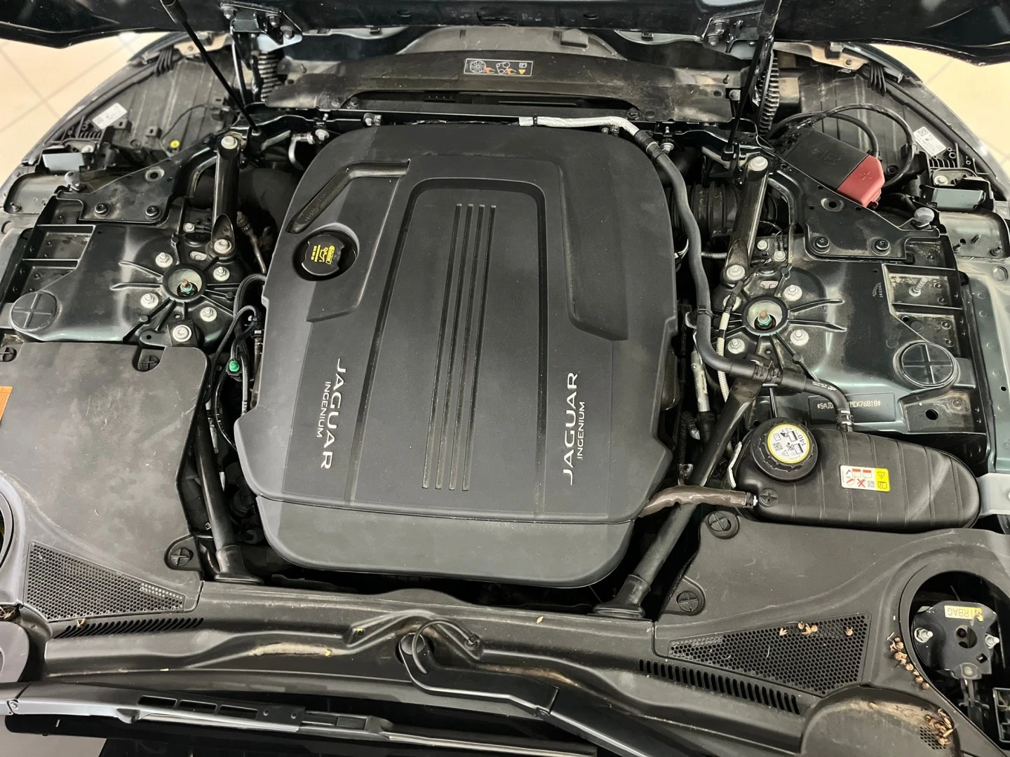 Jaguar F-Type 2.0 i4 R-Dynamic