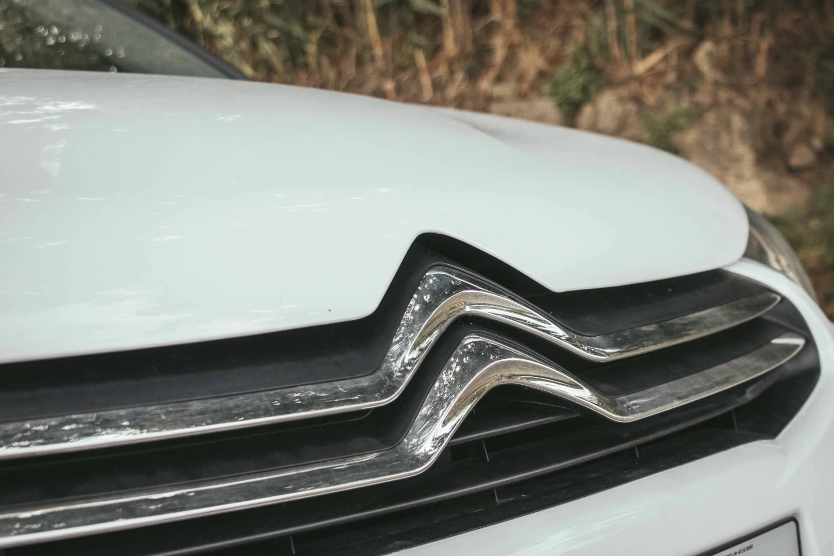Citroën C4 origins