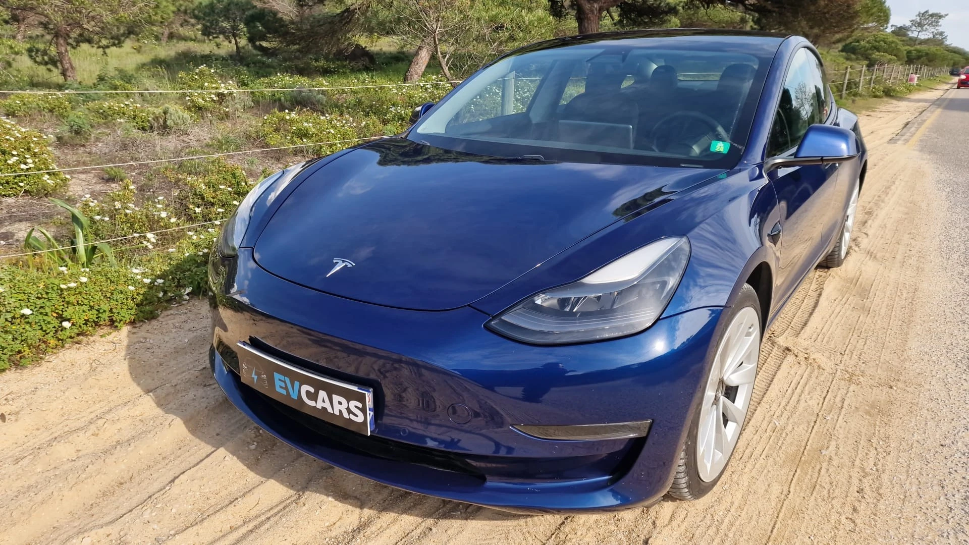 Tesla Model 3 Long Range AWD Dual Motor
