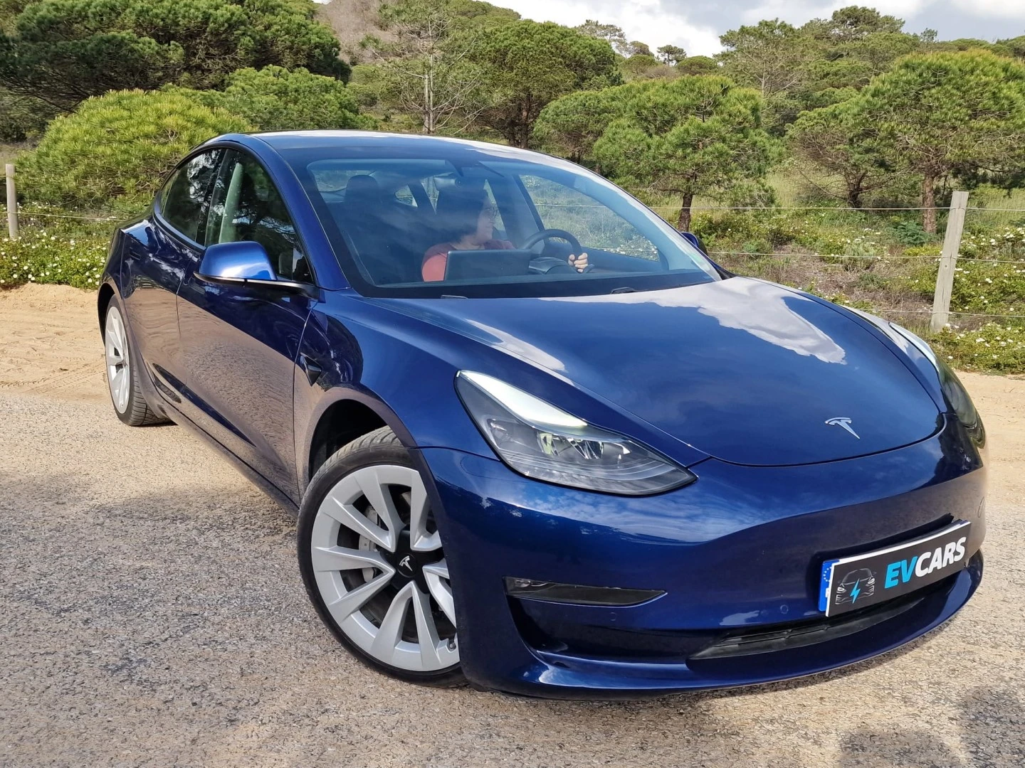 Tesla Model 3 Long Range AWD Dual Motor