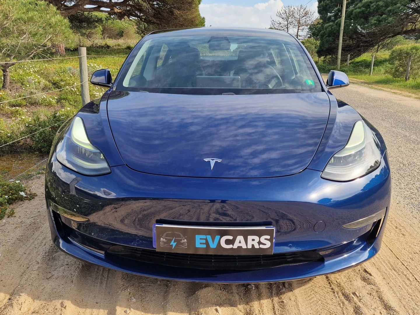 Tesla Model 3 Long Range AWD Dual Motor