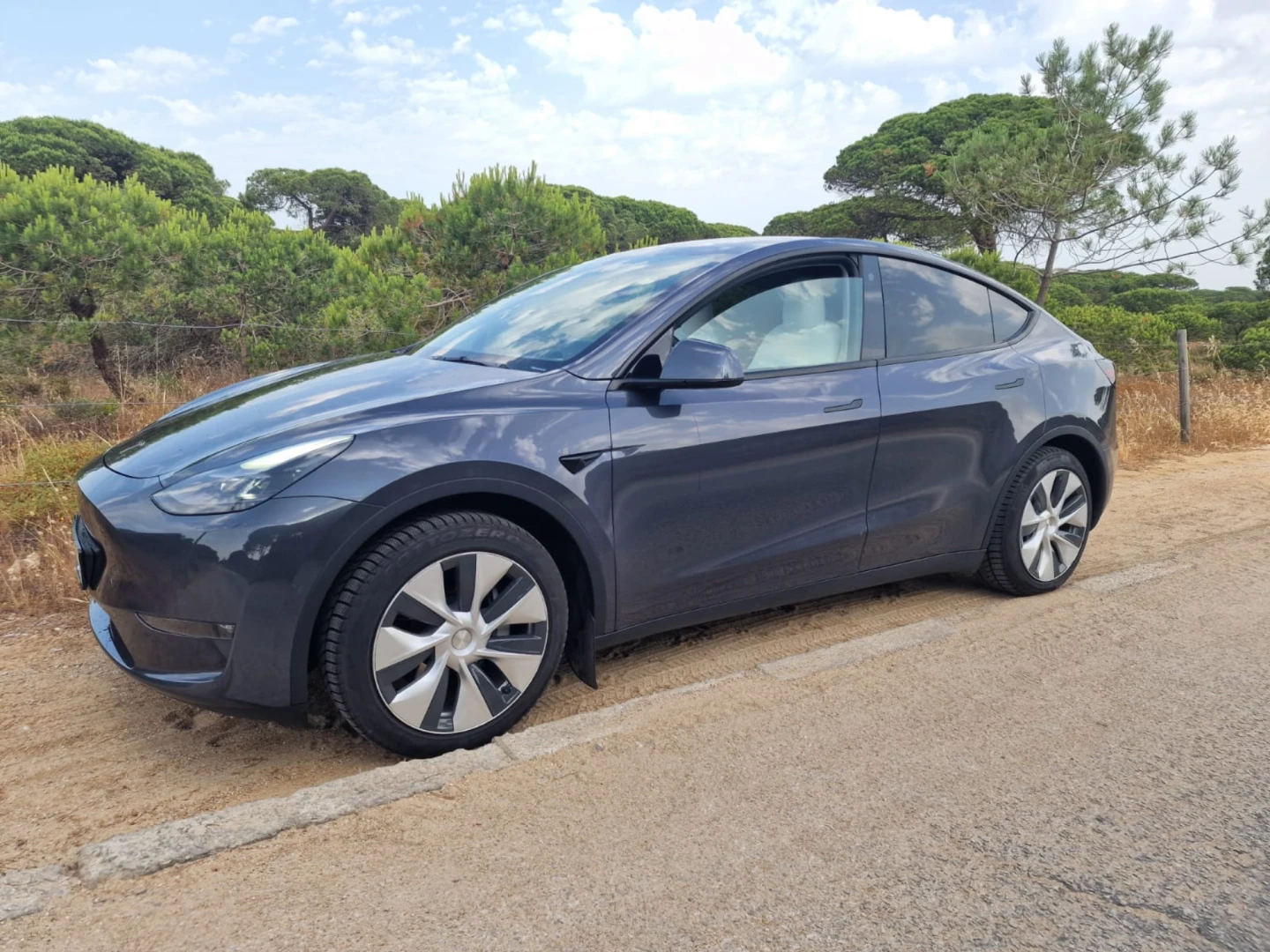 Tesla Model Y Long Range Dual Motor AWD