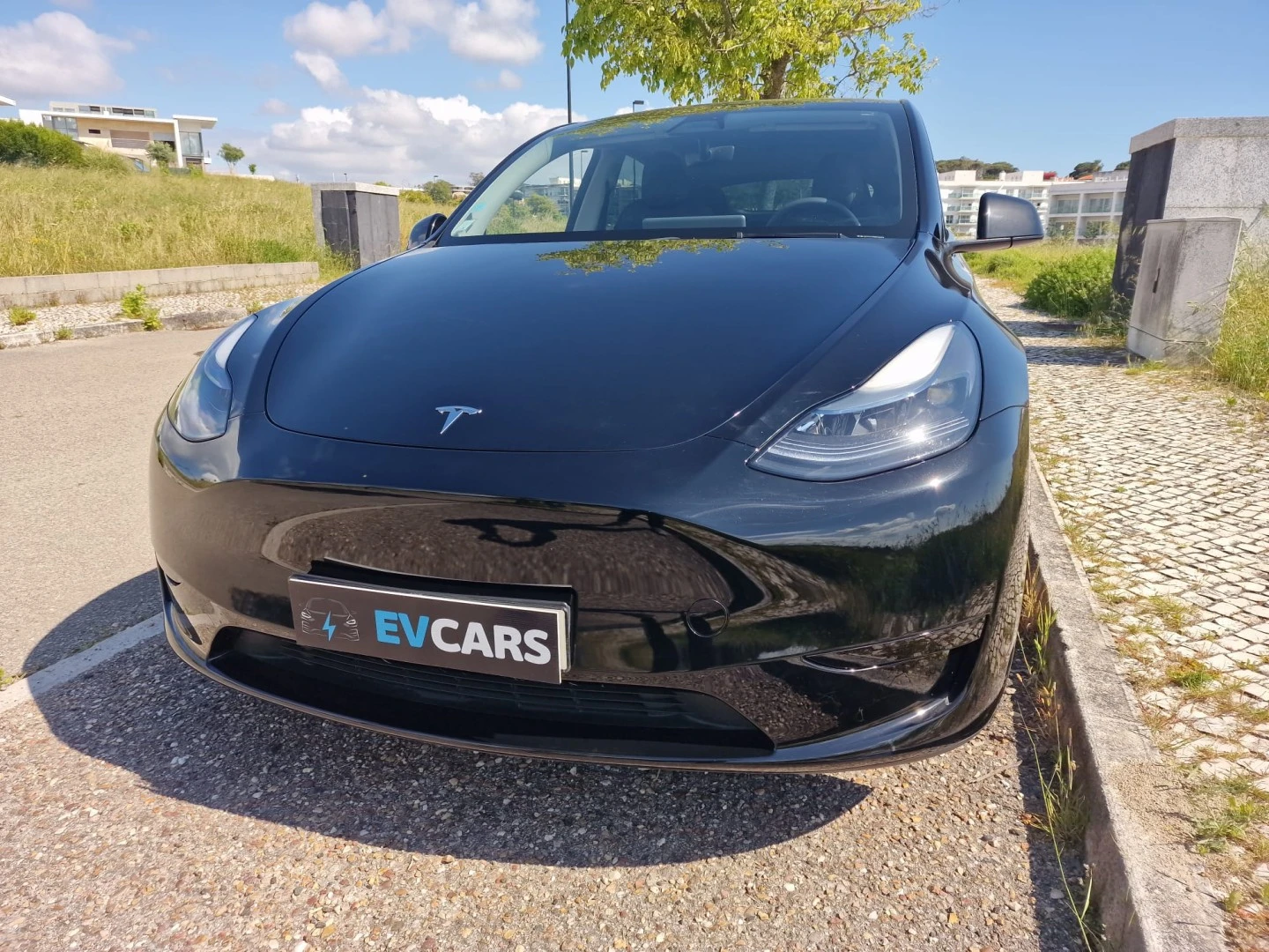 Tesla Model Y RWD