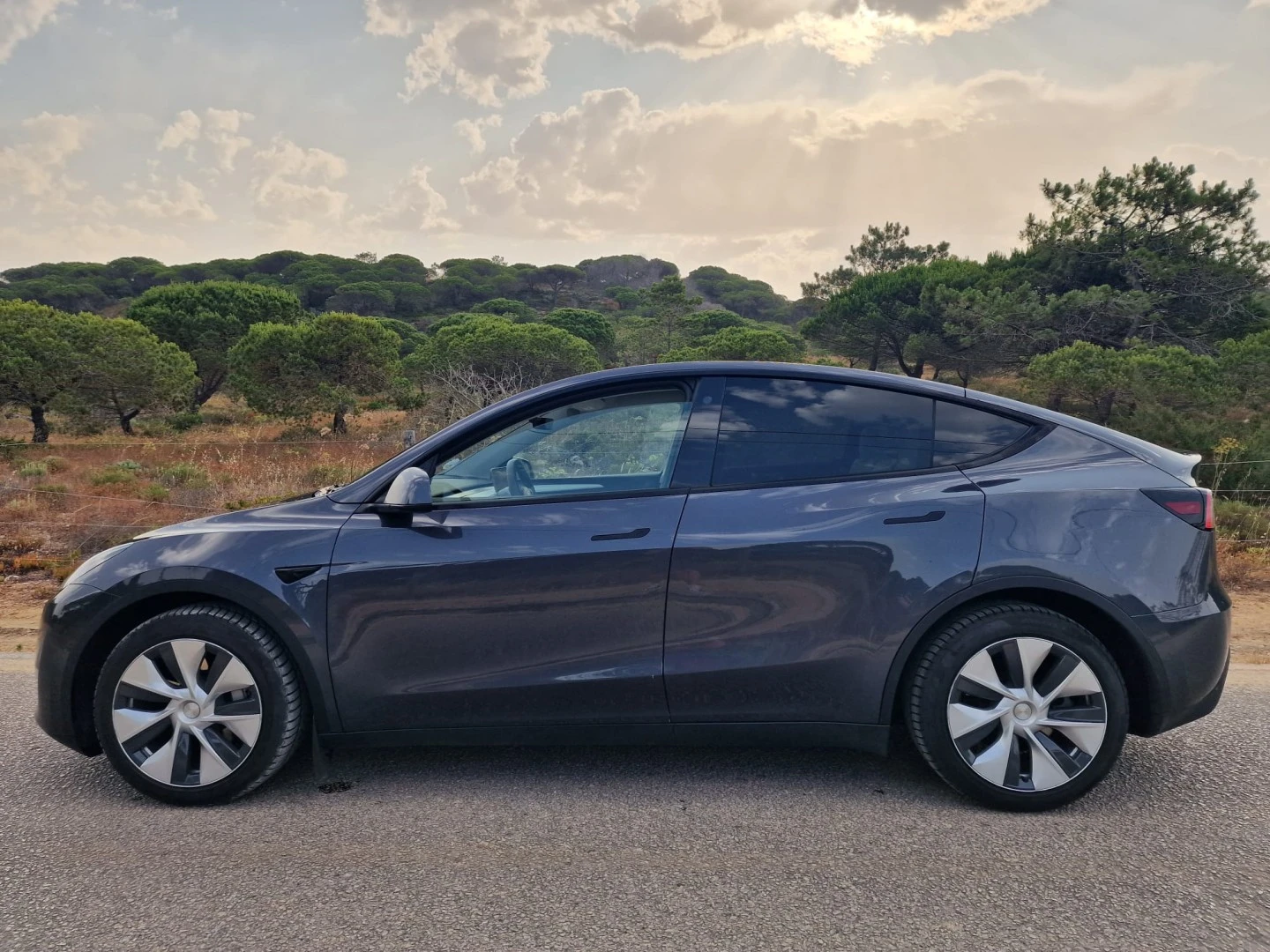 Tesla Model Y Long Range Dual Motor AWD